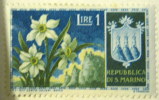 San Marino 1953 Narcissus 1l - Mint Hinged - Unused Stamps