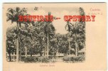 St LUCIA - Colombus Square Castries - Jardin Public - Sainte Lucie - Cliché 1900 - Santa Lucia