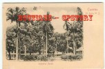 St LUCIA - Colombus Square Castries - Jardin Public - Sainte Lucie - Cliché 1900 - St. Lucia
