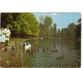 B56801 Le Bois De Vincennes Lac Daumesnil Dack Swan Cygne Taux Used Good Shape - Villecresnes