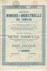 ACTION - Société MINIERE & INDUSTRIELLE Du TAMEGA - Portugal - S. Social Bruxelles    (1989) - Mines