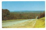 USA – United States, Rogers Road Between Crystal Lake & Platte Lake Road, Michigan 1954 Used Postcard [P7991] - Sonstige & Ohne Zuordnung