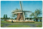 USA – United States, Windmill Park, Holland, Michigan, Unused Postcard [P7996] - Other & Unclassified