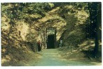 USA – United States, Entrance To The Cave At Hannibal, Missouri, Unused Postcard [P8000] - Otros & Sin Clasificación