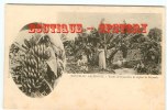 NOUVELLE CALEDONIE - Régime De Bananes Et Touffe De Bananiers - Cliché Bergeret 1900 - Dos Scané - Nueva Caledonia