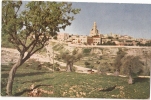 Environs MONT SION (1923) - Syria