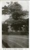 LEAMINGTON OLD OAK TREE, CENTRE OF ENGLAND - OLD ENGLISH POSTCARD - CIRCULATED STAMPED - W.H.S.L. - Other & Unclassified