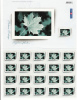 Canada Scott #2064 MNH Full Pane Of 21 (49c) Picture Postage Picture Frame With Maple Leaf In Center - Ganze Bögen