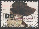 PAESI BASSI NEDERLAND TEMATICA CANI 80 CENT 1998 USATO - Used Stamps