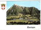 TANINGES (74) - CPSM - Vue Générale ... Blason, Haute Savoie - Taninges