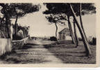 Saint-Brévin-l´Océan /// Vue En Bordure De Mer /// [voir Scans R° Et V°] Belle Carte - Saint-Brevin-l'Océan