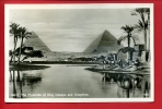 CPA Egypte   Le Caire Pyramides   Cairo - The Pyramids Of King Cheops And Chephren - Gizeh