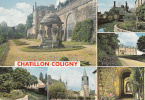 45 - Chatillon Coligny - Multivues - Chatillon Coligny