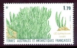 T.A.A.F. N°131 Flore Et Faune Antarctique - Oelaphoglossum Randii - Nuevos