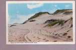 Sand Dunes, Provicetown, Cape Cod, Massachusetts - Cape Cod