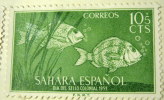 Spanish Sahara 1953 Fish Colonial Stamp Day 10c +5c - Mint Hinged - Spanische Sahara