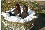 TCHAD - KOUMRA ++ Enfants Saras Madjingayes Dans Le Coton ++ - Tchad