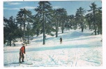 GR-37  CYPRUS : Skiing On Mt. Troodos - Chipre