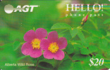 Prepaid Canada AGT Alberta Wild Rose $20 - Kanada