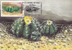 CACTUS, BOTANICAL GARDEN CLUJ, 1997, CM. MAXI CARD, CARTES MAXIMUM, ROMANIA - Cactusses