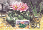 CACTUS, FLOWERS, BOTANICAL GARDEN CLUJ, 1997, CM. MAXI CARD, CARTES MAXIMUM, ROMANIA - Cactus