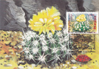 CACTUS, FLOWERS, BOTANICAL GARDEN CLUJ, 1997, CM. MAXI CARD, CARTES MAXIMUM, ROMANIA - Sukkulenten