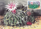 CACTUS, FLOWERS, BOTANICAL GARDEN CLUJ, 1997, CM. MAXI CARD, CARTES MAXIMUM, ROMANIA - Sukkulenten