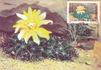 CACTUS, FLOWERS, BOTANICAL GARDEN CLUJ, 1997, CM. MAXI CARD, CARTES MAXIMUM, ROMANIA - Cactus