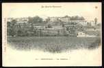 CPA PRECURSEUR- FRANCE- MONTREJEAU (31)- VUE GENERALE DE LA COLLINE EN 1900- VIGNE ET MAÏS DEVANT - Montréjeau