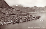 Beckenried Am Vierwaldstattersee Mit Pilatus - Wald