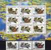 Naturschutz WWF Enten 1991 Sowjetunion 6210/2+KB ** 6€ Weißkopf--Ruderente Bloc Bird Sheet Duck Sheetlet Bf USSR CCCP SU - Canards