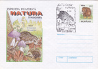 HEDGEHOG, MUSHROOMS, 1998, COVER STATIONERY, ENTIER POSTAL, OBLITERATION CONCORDANTE, ROMANIA - Rodents