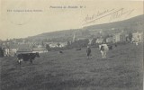 Stavelot - Panorama No. 2 (vaches - Ca. 1908) - Stavelot