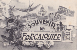 FORCALQUIER " Souvenir De Forcalquier " - Forcalquier