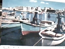 BISCIEGLIE  BARCHE IN PORTO VBN1988 DQ7600 - Bisceglie