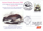 GROENLANDA WHALE, POLAR PHILATELY, 2006, COVER STATIONERY, ENTIER POSTAL, OBLITERATION CONCORDANTE, ROMANIA - Wale