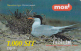 Prépayée Slovenie Mobitel Oiseau_ Bird Sterna 1.000 SIT - Eslovenia