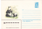 PANDA BEAR, OURS, 1980, COVER STATIONERY, ENTIER POSTAL, RUSSIA - Bären