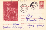DEER, 1962, CARD STATIONERY, ENTIER POSTAL, SENT TO MAIL, ROMANIA - Game