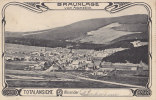 Braunlage, Total, Im Jugendstilrahmen, Um 1904 - Goslar