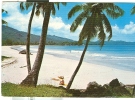 SEYCHELLES GRAND ANSE MAHE - POSTCARD, COLOR, USED 1984, ANIMATED, ITALY DESTINATION, - Seychellen