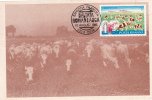 COWS FLOCK, 1986,  CM. MAXI CARD, CARTES MAXIMUM, ROMANIA - Cows