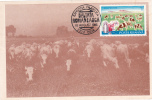 COWS FLOCK, 1986,  CM. MAXI CARD, CARTES MAXIMUM, ROMANIA - Koeien