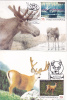 DEER, 2X, 1993,  CM MAXI CARD, CARTES MAXIMUM, ROMANIA - Selvaggina