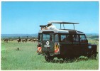 PHOTO-SAFARI IN KENYA / LAND ROVER CAR - Kenya