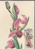 RUSSIE CARTE MAXIMUM NUM.YVERT  5854 FLORE FLEUR ORCHIDEES - Cartoline Maximum