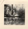 Photographie , 7.5 X 7.5 Cms , Espagne , SEVILLE , Jardins De L´Alcazar , Alcazares De Sevilla , 1958 - Ohne Zuordnung