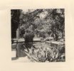 Photographie , 7.5 X 7.5 Cms , Espagne , SEVILLE , Jardins De L´Alcazar , Alcazares De Sevilla , 1958 - Ohne Zuordnung