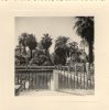 Photographie , 7.5 X 7.5 Cms , Espagne , SEVILLE , L´Alcazar , Piscine , Alcazares De Sevilla , 1958 - Ohne Zuordnung