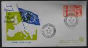 TOURS - INDRE ET LOIRE - EUROPA  / 1966 OBLITERATION FOIRE AGRICOLE OUEST EUROPEEN SUR ENVELOPPE ILLUSTREE (ref EUR49) - Lettres & Documents